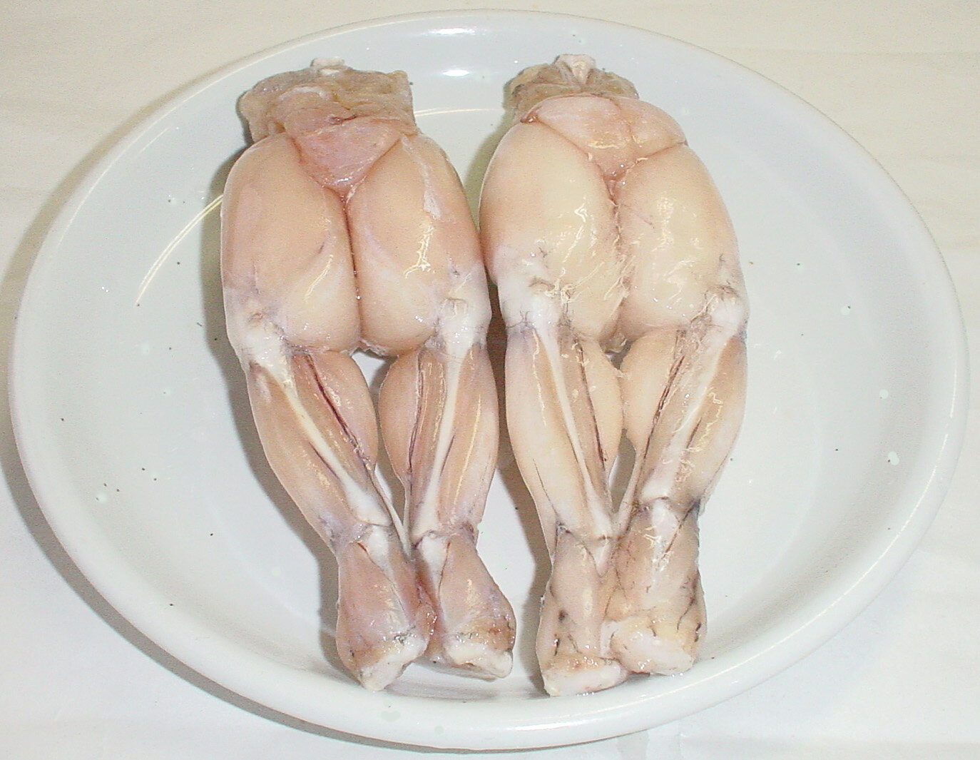 学園祭・催事でも大人気、お手軽・美味なるフロッグレッグ通販 販売の「特正」です