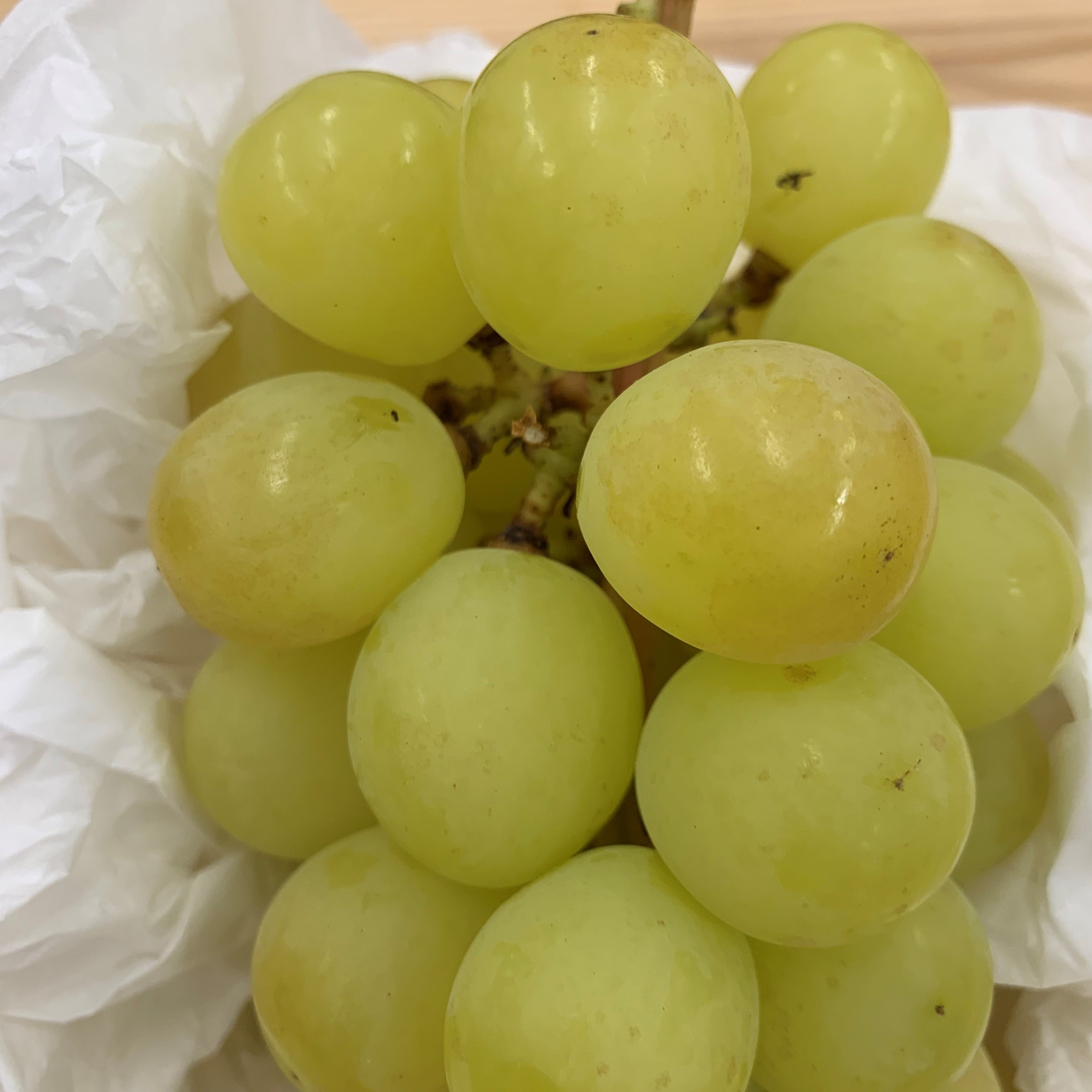 色によって糖度が変わる!?美味しいシャインマスカットの選び方