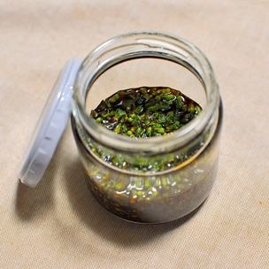 大葉 青じそ は1カ月冷蔵保存できる!? 長持ちする保存方法をプロが解説東京ガス ウチコト