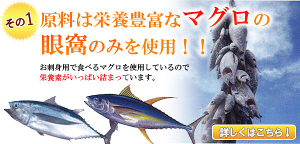 良い？悪い？マグロの食べ合わせと嬉しい3つの栄養を徹底解説