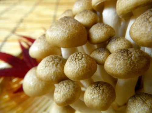 徹底解説 「しめじ」と言われたきのこVS現在の「しめじ」 - YouTube