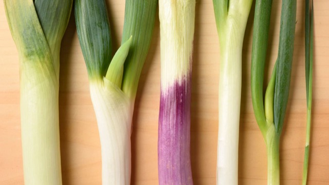 先住ネギ せんじゅねぎ ・白ねぎ：旬の野菜百科