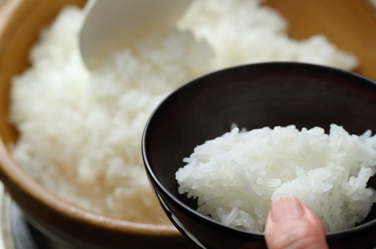 弥生陶園 丸ごはん土鍋 天目釉 4合 -火加減いらず！数分の直火+放置で絶品ご飯 - スタイルストア