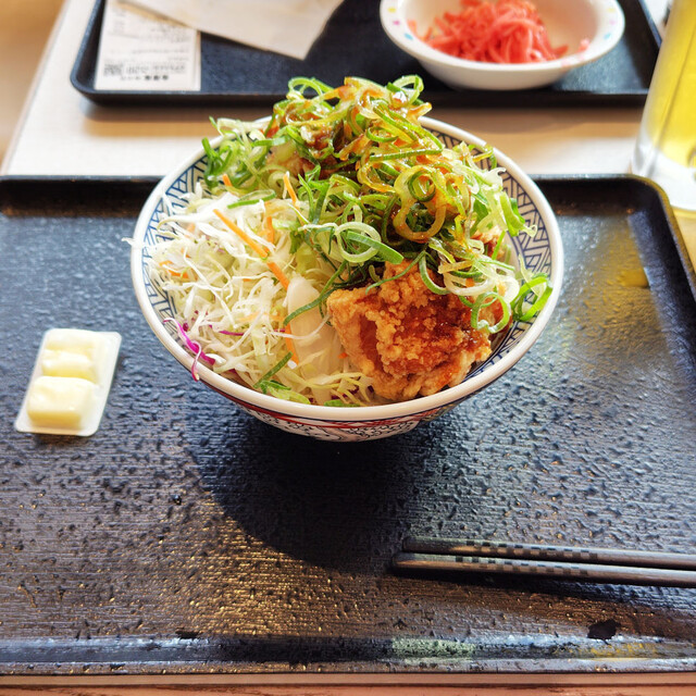 ピリ辛青ねぎから揚げ丼吉野家公式ホームページ