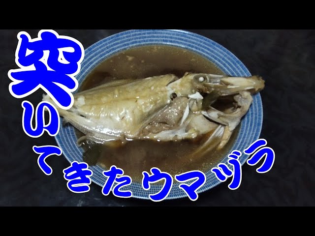 ウマヅラハギの煮付け