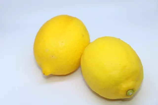 レモンの保存 常温・冷蔵・冷凍の温度別から、大量消費の塩レモン・はちみつレモン・レモン氷の作り方までHugKum はぐくむ