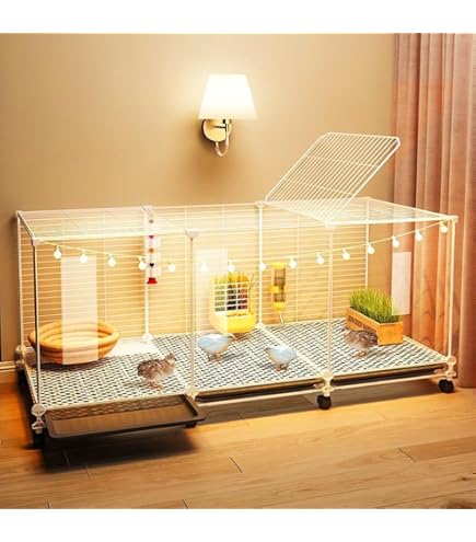 手作り大型うずら小屋71