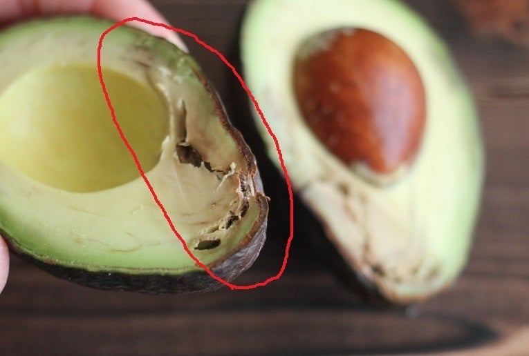 アボカドの根にある白いものはカビですか？数日前にカビだと思い綺麗に落としたの- Yahoo!知恵袋