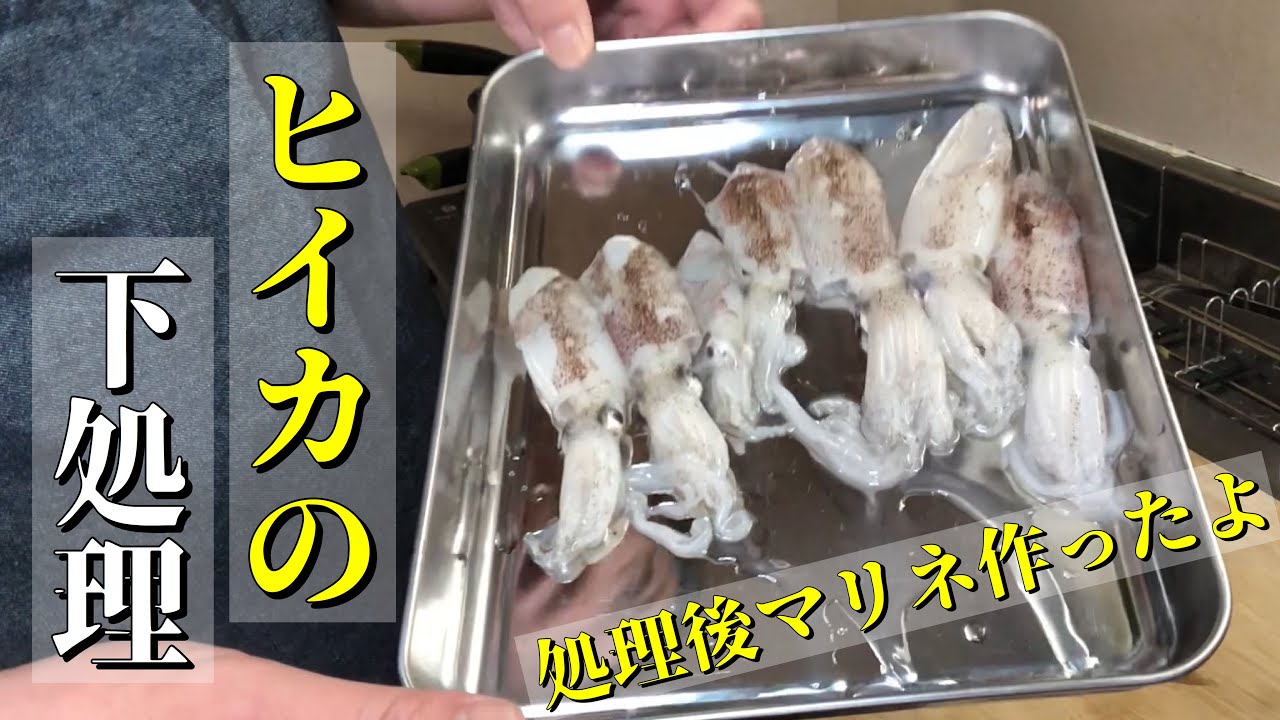 イカの下処理 ヒイカby harushotクックパッド簡単おいしいみんなのレシピが392万品