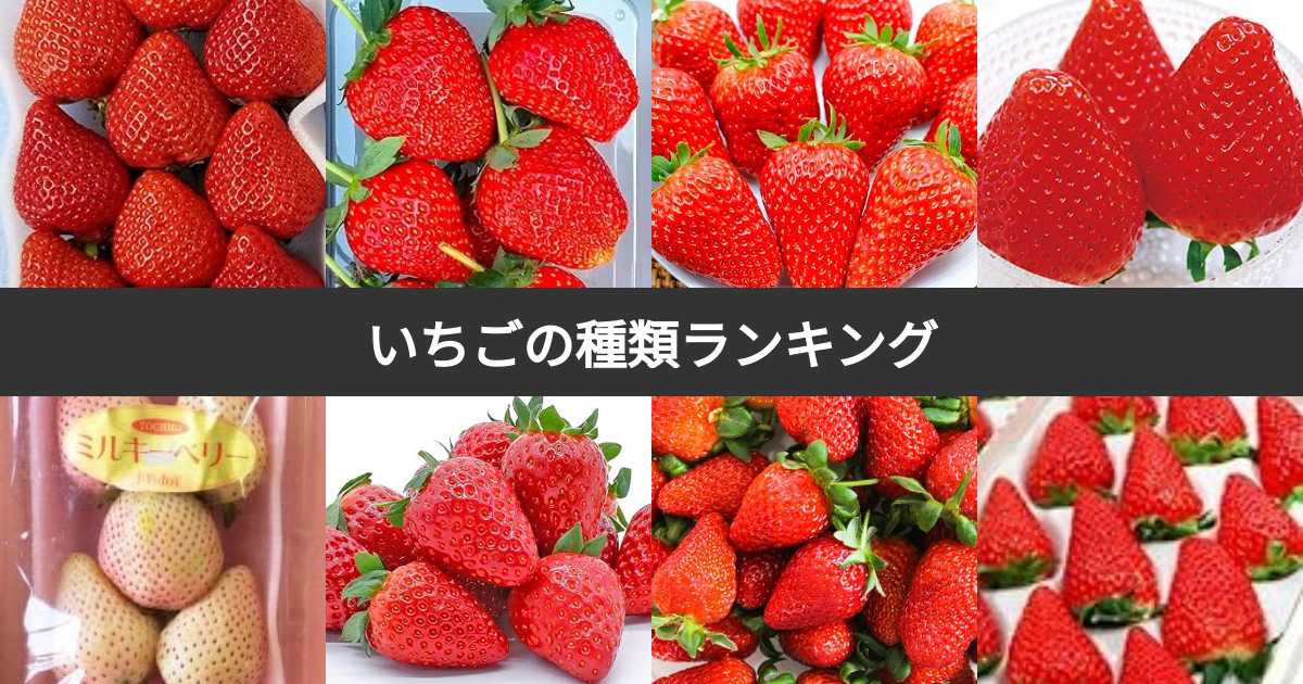 2025年最新 糖度の高いいちごおすすめ人気ランキング 日本一甘いいちごはこれだ–産地直送お取り寄せ通販 トドクヨ