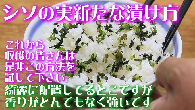 しその実の塩漬け