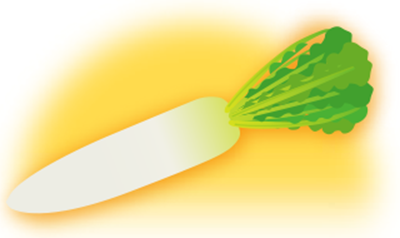 ダイコン 大根 の育て方と栽培のコツやまむファーム