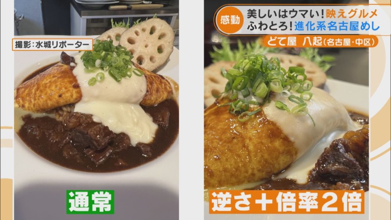 カレーライスを撮影するコツ：暗めに撮影して明るく編集ランディーニ