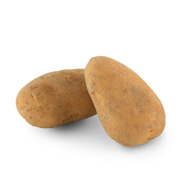 メークイン M発芽あり業務用食材の仕入れなら八面六臂