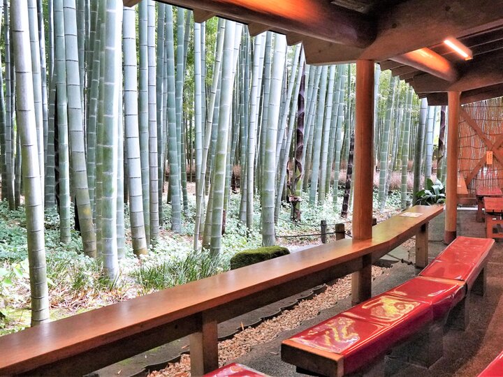 報国寺の休耕庵で抹茶をいただき、竹林を見ながら癒やされてきた鎌倉の寺院と札所巡り by鎌倉PRESS