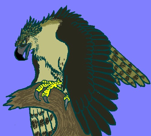 フィリピン 現地でぜったい食べたい！おいしいフィリピン料理