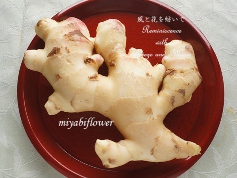 基本からアレンジまで！思わずつくりたくなる「新生姜 甘くない」のレシピ集クックパッド