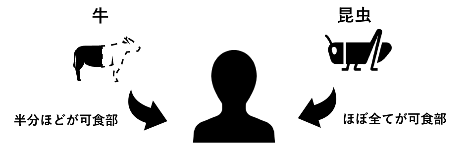 コオロギ食用のデメリット 最低限知っておきたい4つのポイント - Eco Table