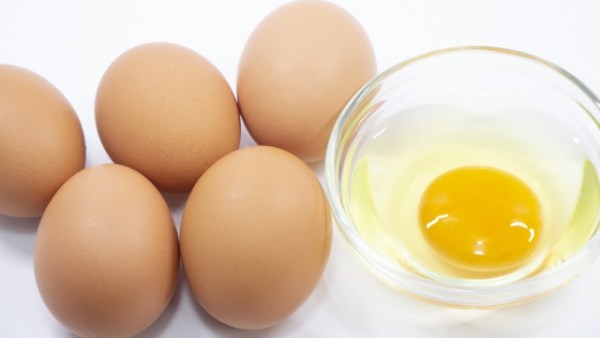 卵の黄身って、どうして色が違うの？ - Umekiki