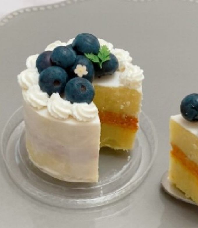 超簡単・1時間で出来る！ オーブン不要の犬用ケーキ『ワンちゃん用デコレーションケーキシリーズ1 ～超初級編～』Super Easy DogCake Recipe🐶Without Oven