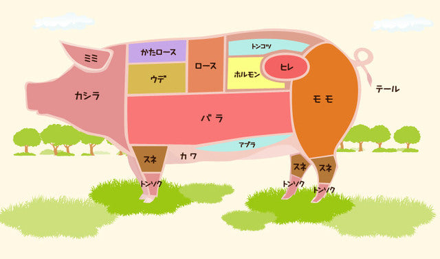 豚肉の部位もおさらいです！全部分かった人は豚肉通です業務用焼き鳥専門店 ミート21のコンテンツ広場