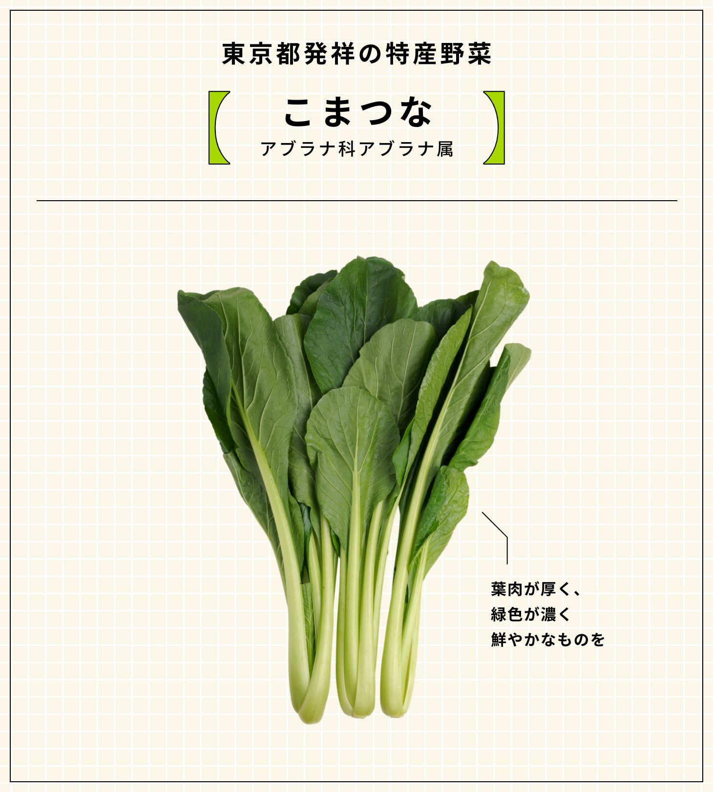 葉物野菜・茎の野菜の商品一覧阿波ツクヨミファーム自然栽培農家が運営する有機無農薬野菜と食品通販 公式通販