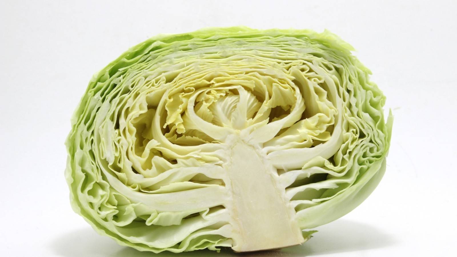 食べられる？ キャベツの外葉や芯の食べ方を八百屋が紹介やさいのトリセツ