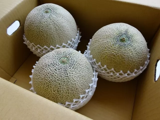 メロンの保存方法 追熟中は冷蔵庫NG！熟成状態別に解説ほほえみごはん-冷凍で食を豊かに-ニチレイフーズ