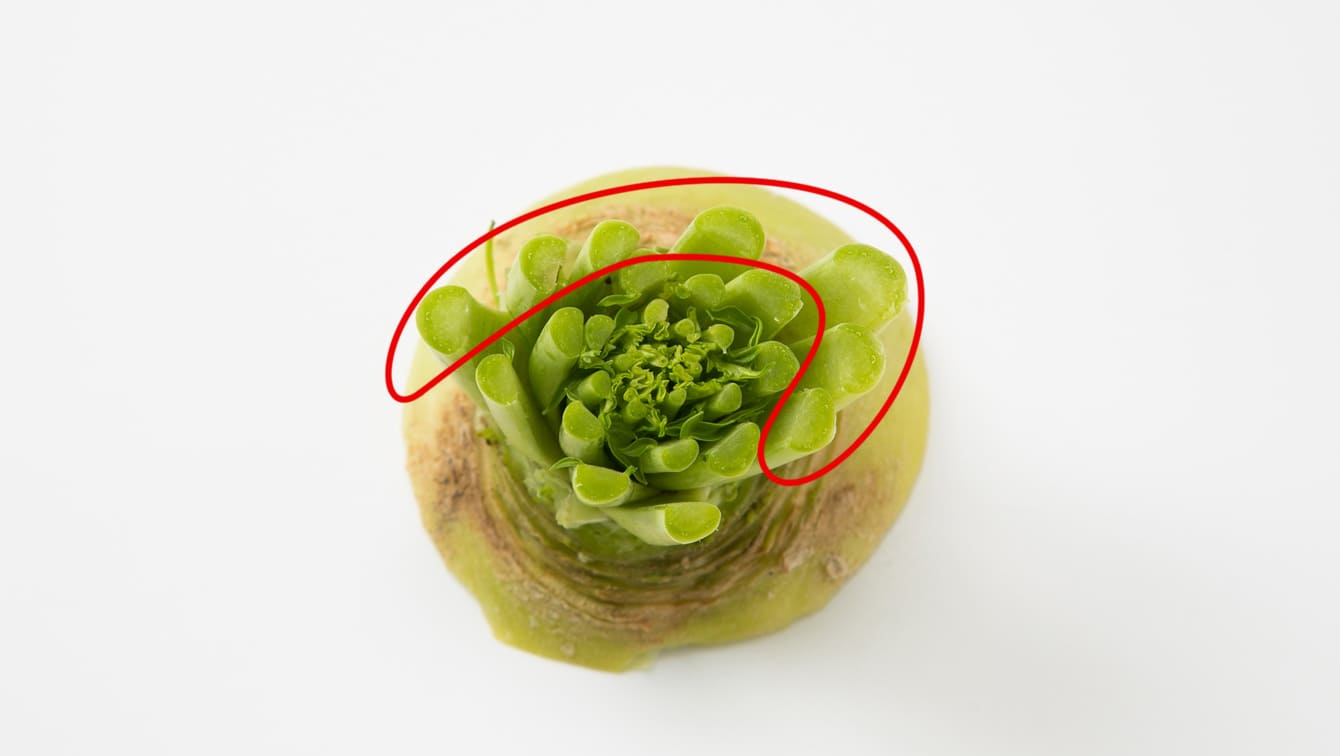 す」の入った大根をどうしようか・。 : 二代目嫁の笑売奮闘記 ＾o＾ Y