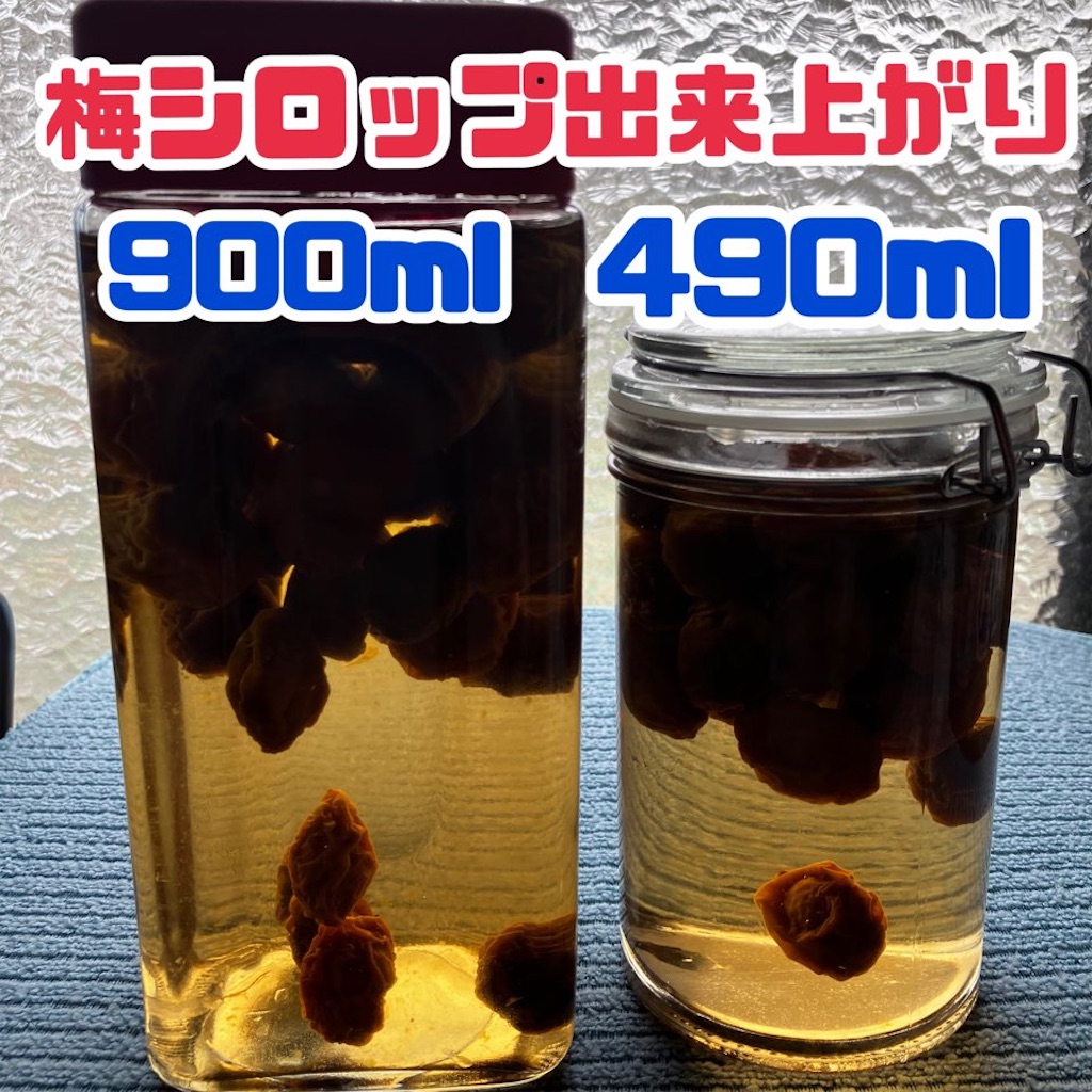 梅仕事2025 炊飯器で作るほったらかし梅シロップLEE