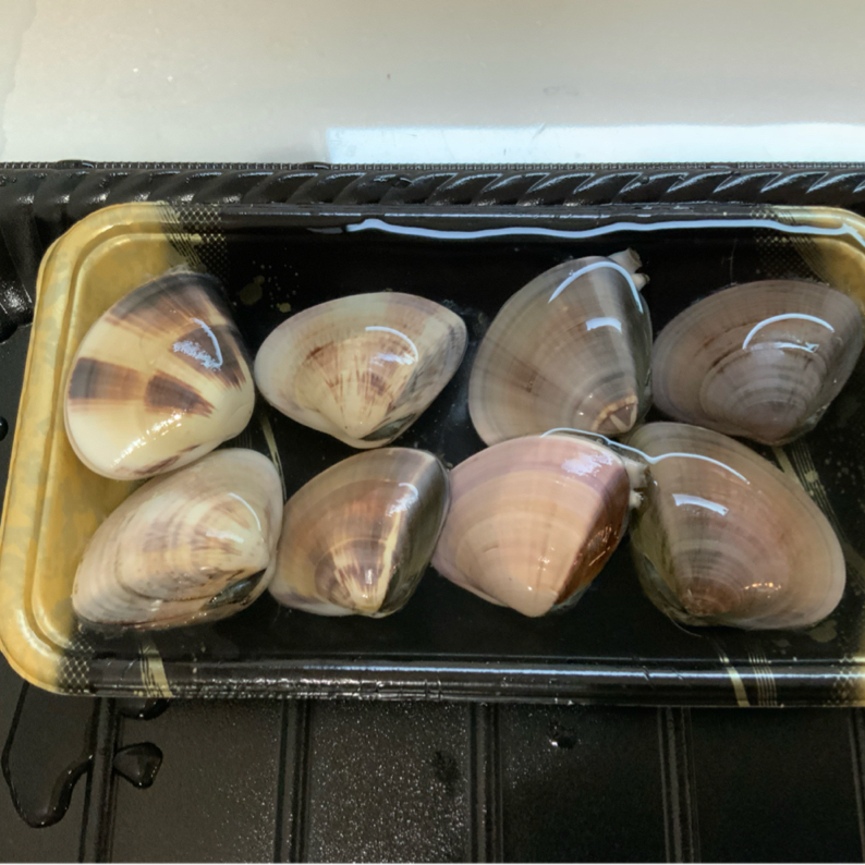 はまぐりって冷蔵庫に入れたら死ぬの？砂抜き方法はじめてちゃんとわかった！私だってていねいに暮らしたい