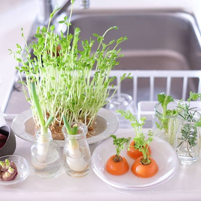 リボベジ 」× NEG製品Nichiden-rika Blog