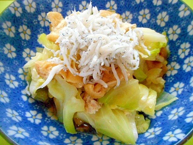 パスタの具材にもおすすめ！ キャベツとしらすの旨塩サラダ