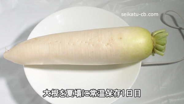 大根の保存方法・日持ち期間は？常温・冷蔵庫で長持ちのコツは？切った場合も紹介！ どうぞ召し上がれWEBマガジン