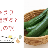 きゅうりが腐るとどうなる？傷んでるかの見分け方や漬物の場合も解説