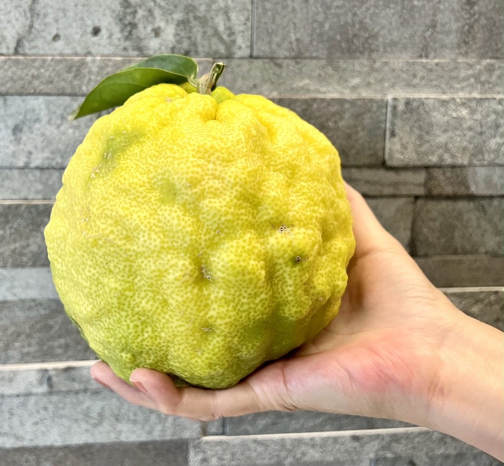 鬼柚子で豪快に柚子湯♨️さが農村ひろば