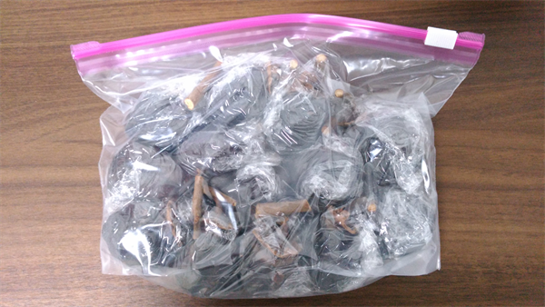 干し柿の保存方法 - 採集生活