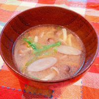 具だくさん時短豚汁 ＼汁物10分 おかずになるお味噌汁