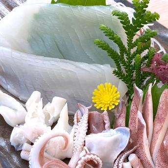 生スルメイカのお刺身、お造り。ゲソとエンペラはボイル加熱。の写真素材66912173- PIXTA