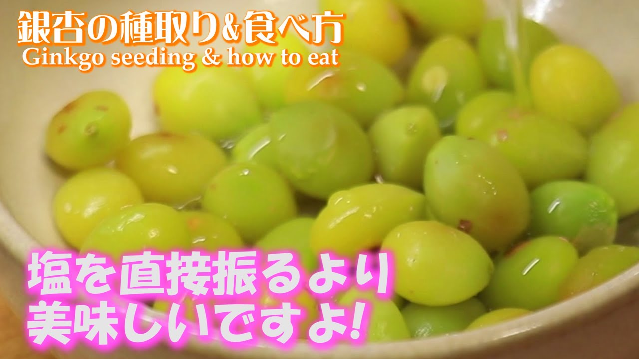 ぎんなん 銀杏 の実の食べ方・下処理 - 雪国ぎんなん - おぐにふる里銀杏便り