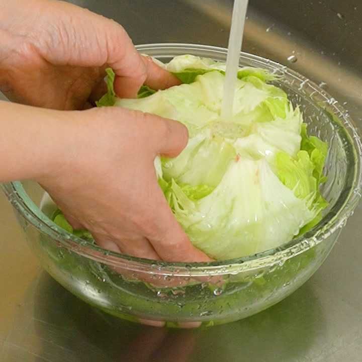 これ知ってる？レタスの正しい洗い方が意外だったクックパッドニュース