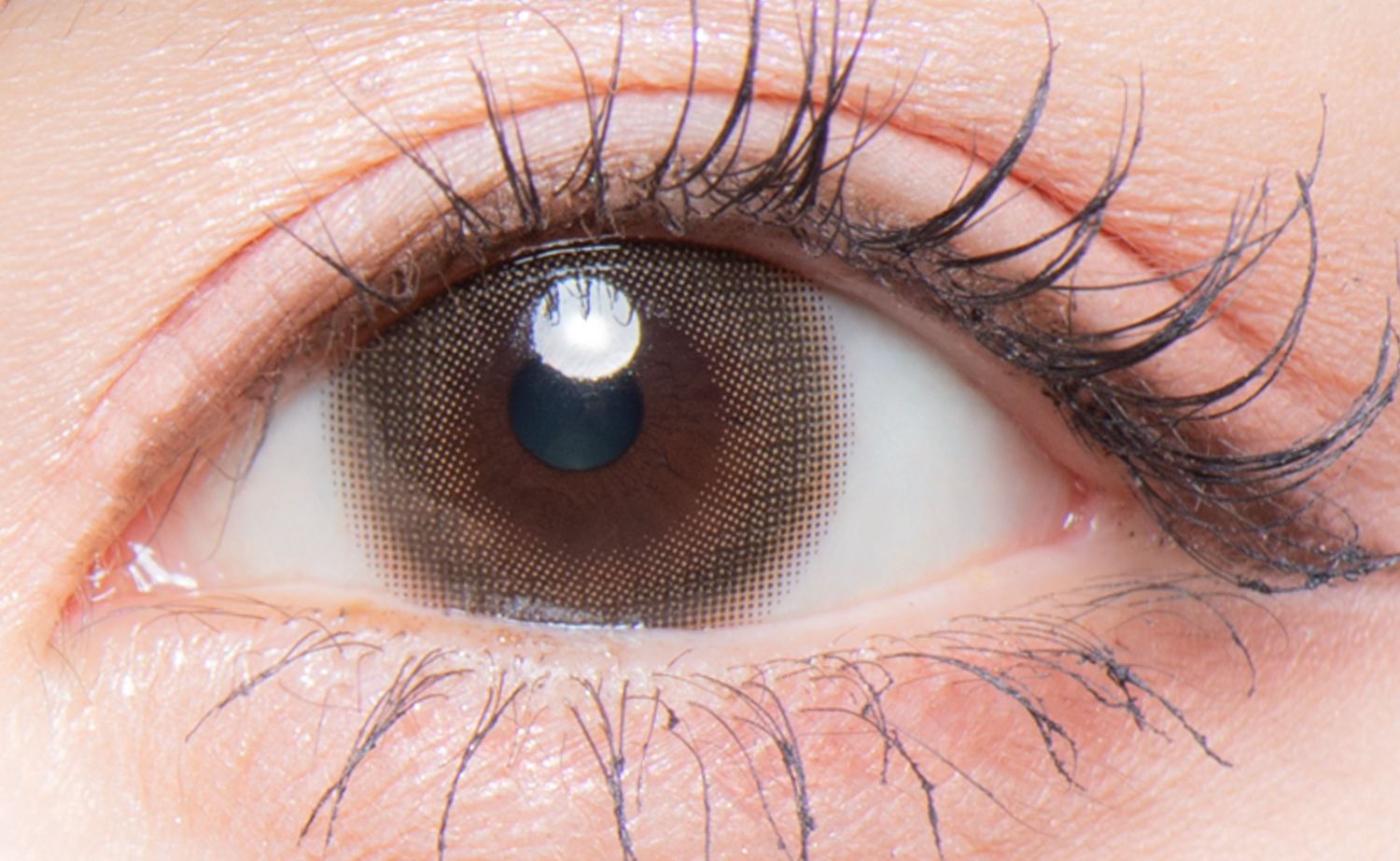 定番商品 ミスタードーナツ「ハニーディップ」 安定感のあるおいしさ: 溝呂木一美の仕事と趣味とドーナツ