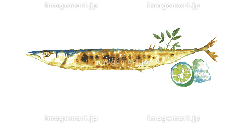 サンマ 焼き魚 イラスト イラスト素材7566081- フォトライブラリ
