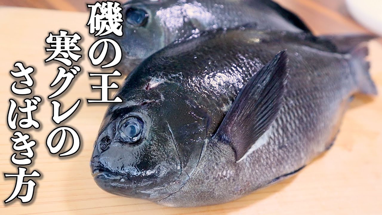 今日はメジナを見直しました！狼の皮を被った羊