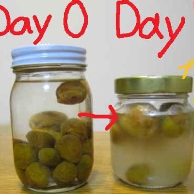 初めての梅シロップの作り方と楽しみ方