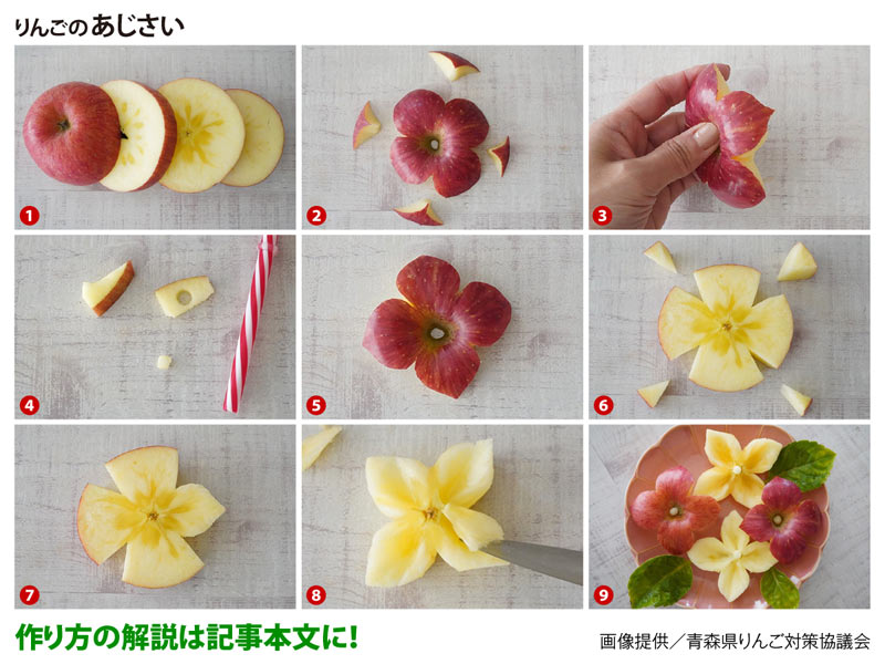りんごの輪切り 甘みを逃さない！野菜ソムリエ推奨の食べ方テクほほえみごはん-冷凍で食を豊かに-ニチレイフーズ