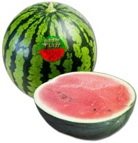 すいか 西瓜 スイカ