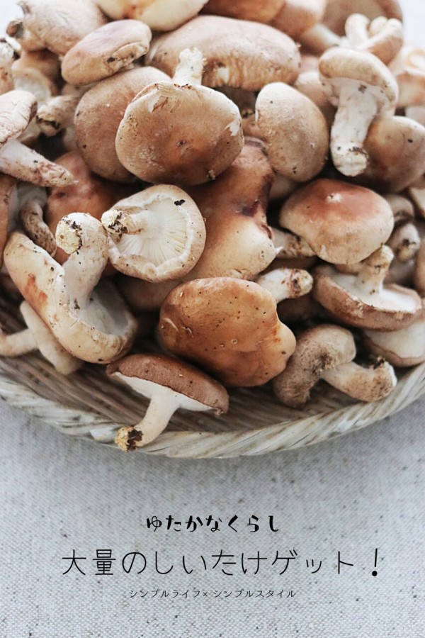 基本からアレンジまで！思わずつくりたくなる「しいたけ 大量」のレシピ集クックパッド
