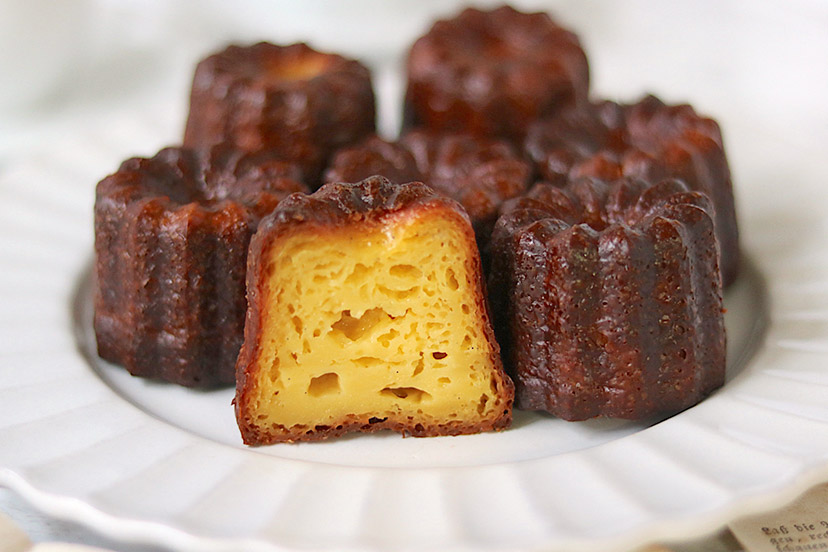 ピジョンビレッジ on X: 