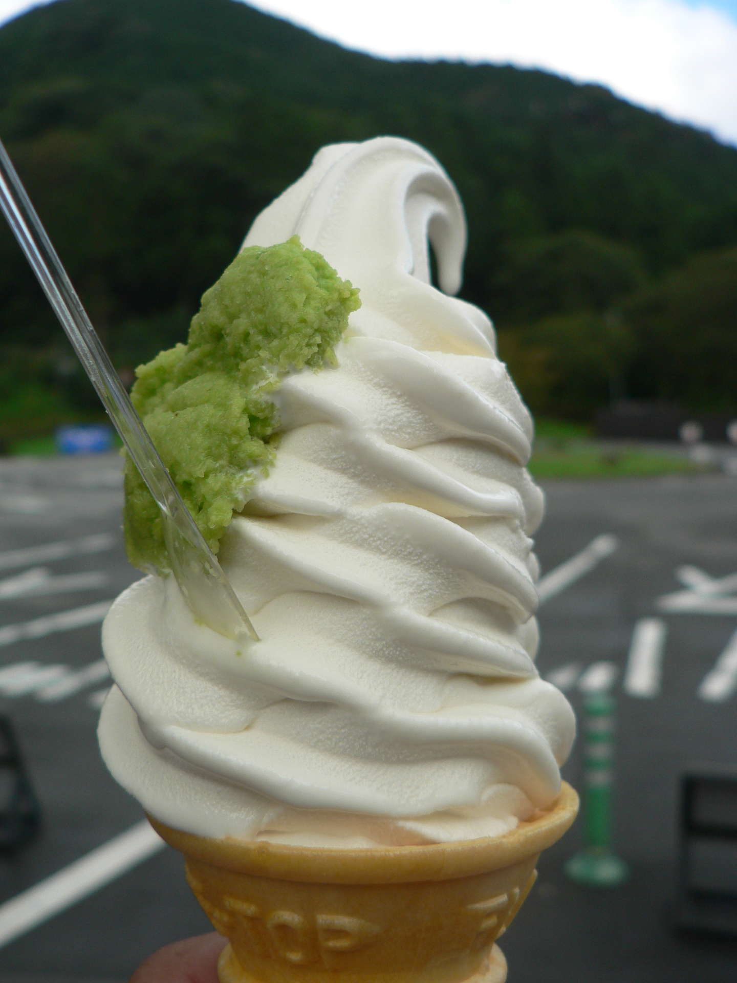 伊豆わさびミュージアム」で名産品のわさびを楽しく学ぼう！たびらい観光情報